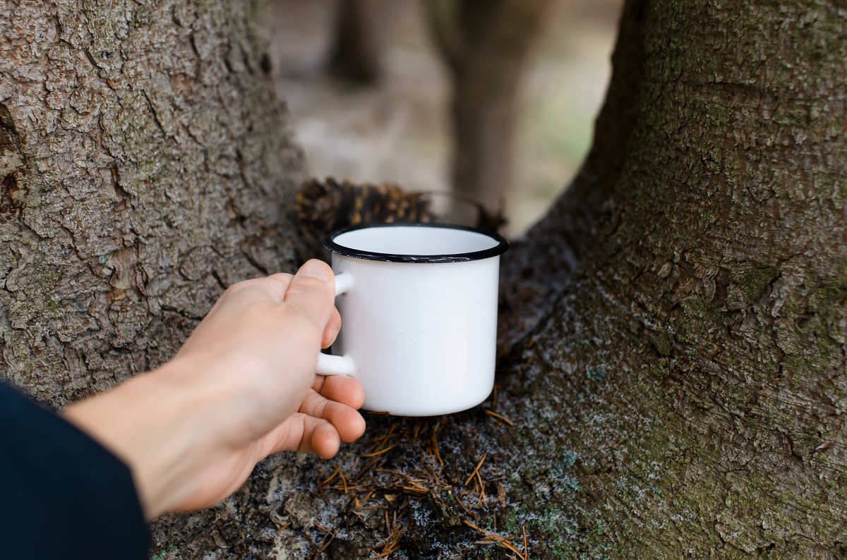 Survival Notverpflegung: ✓auch beim Camping ein verlässlicher Begleiter
