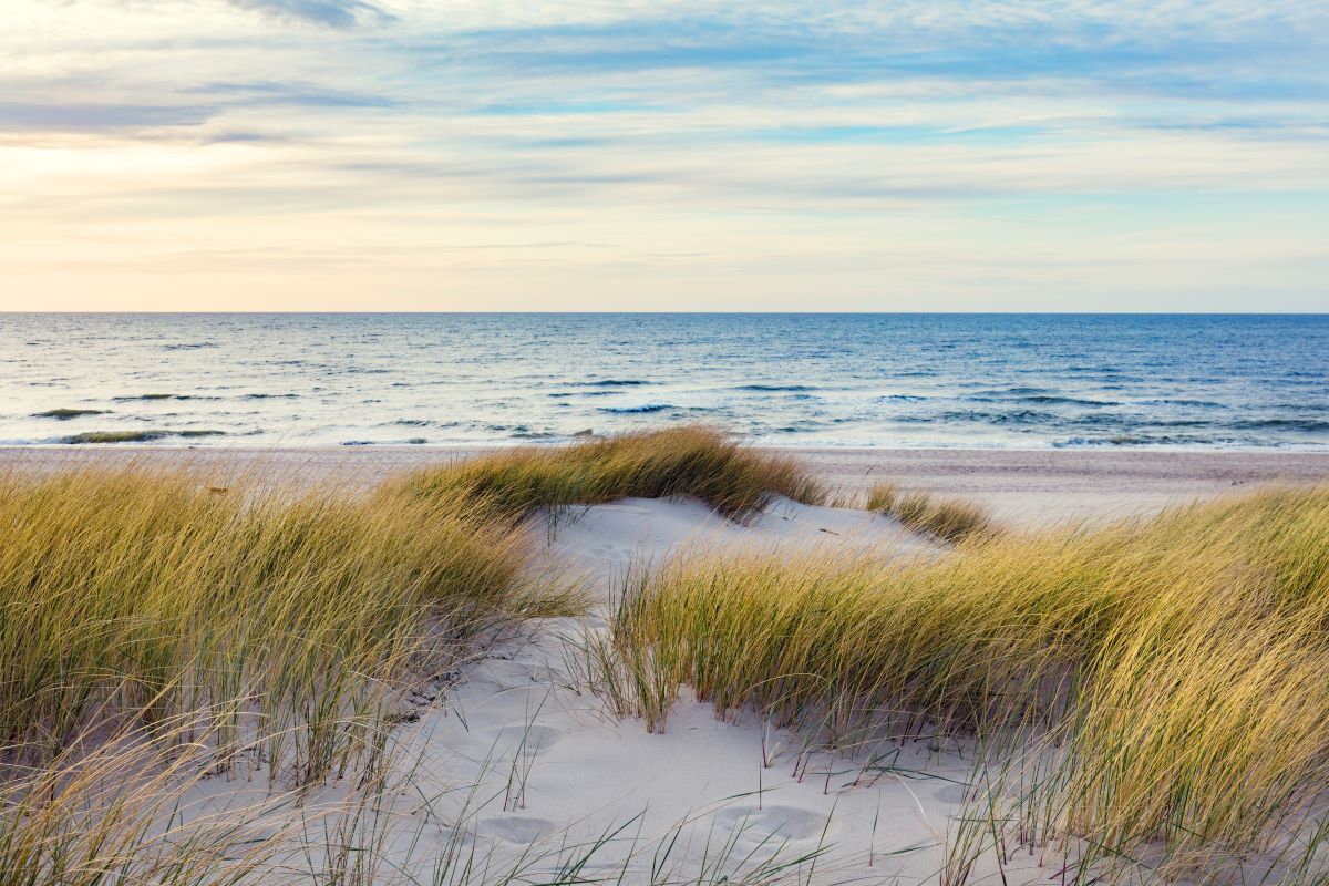 Camping am See oder doch lieber am Meer?