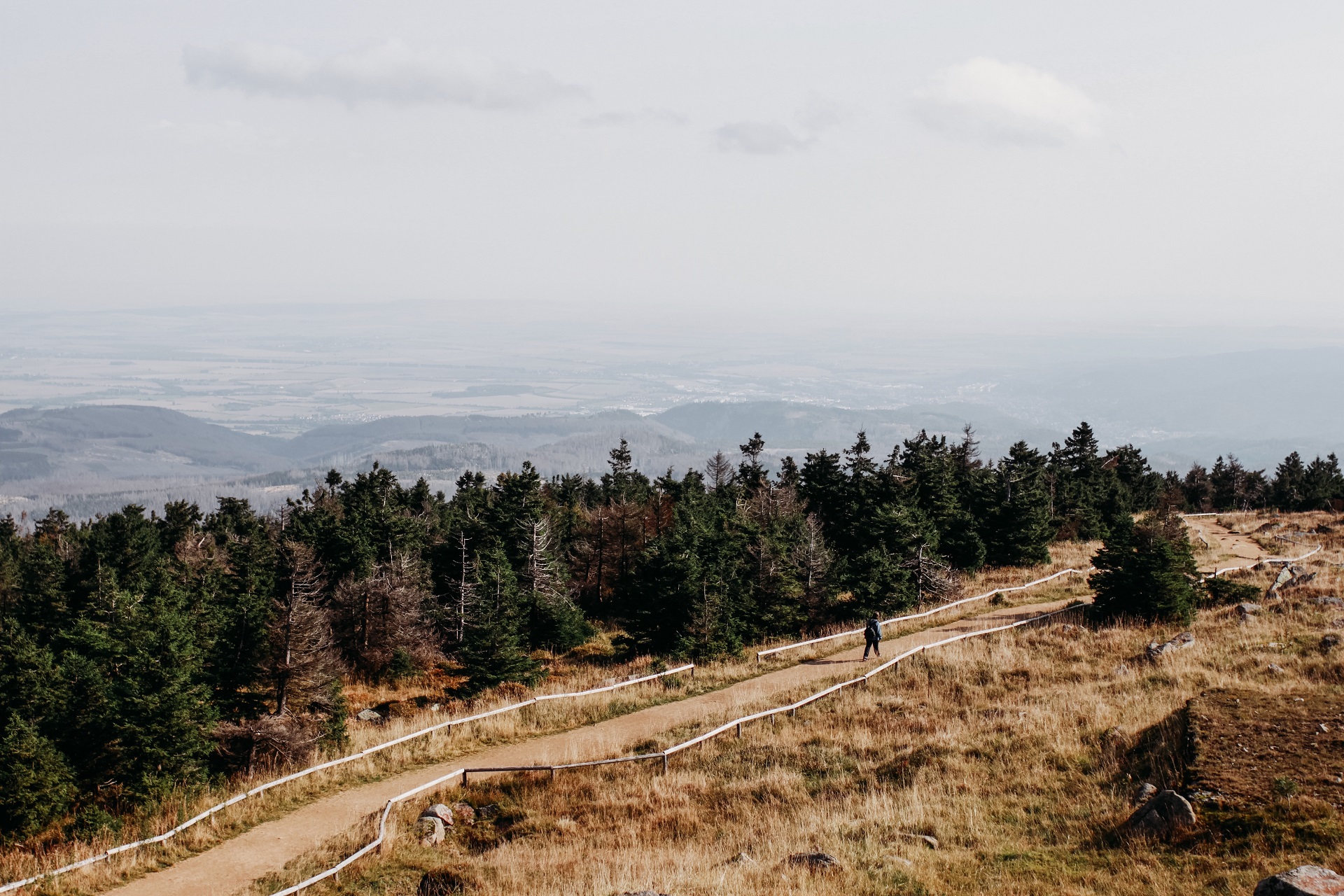Campen im Harz – Wilde & mystische Schönheit