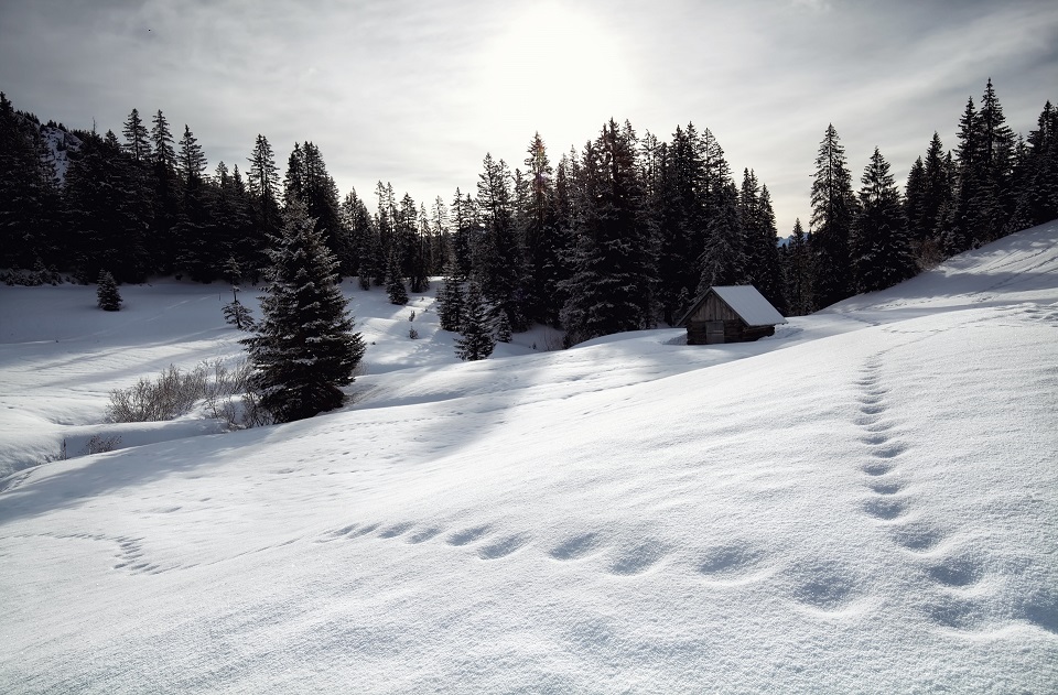 Wintercamping im Allgäu