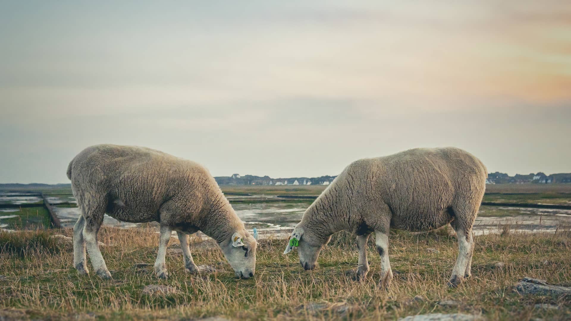 Ausflugsziele an der Nordsee
