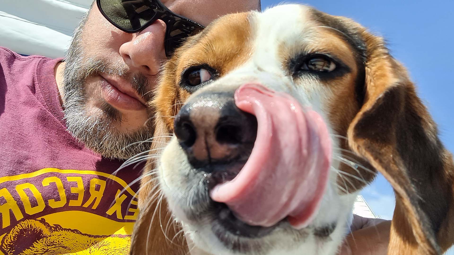 Camping mit Hund - Das musst du wissen!