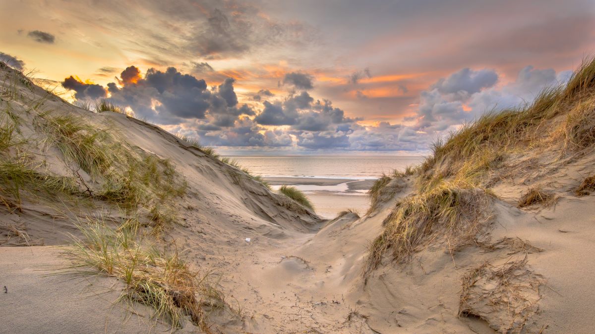 Alles rund um Urlaub an der Nordsee