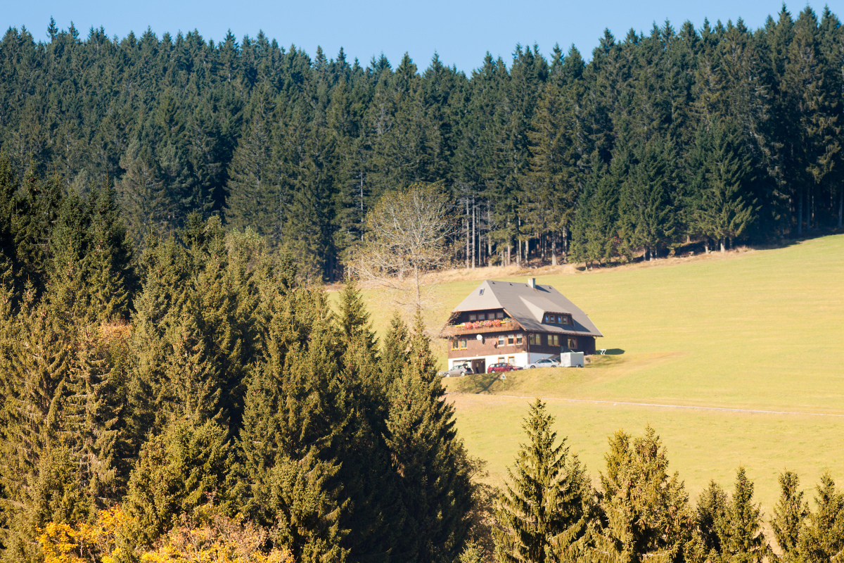 Camper4All Deutschland-Reisekalender: Camperabenteuer im September