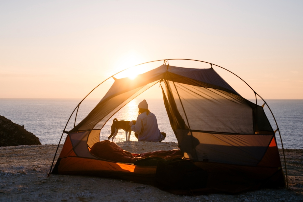 Zelten mit Hunden: Was sollte man beachten?