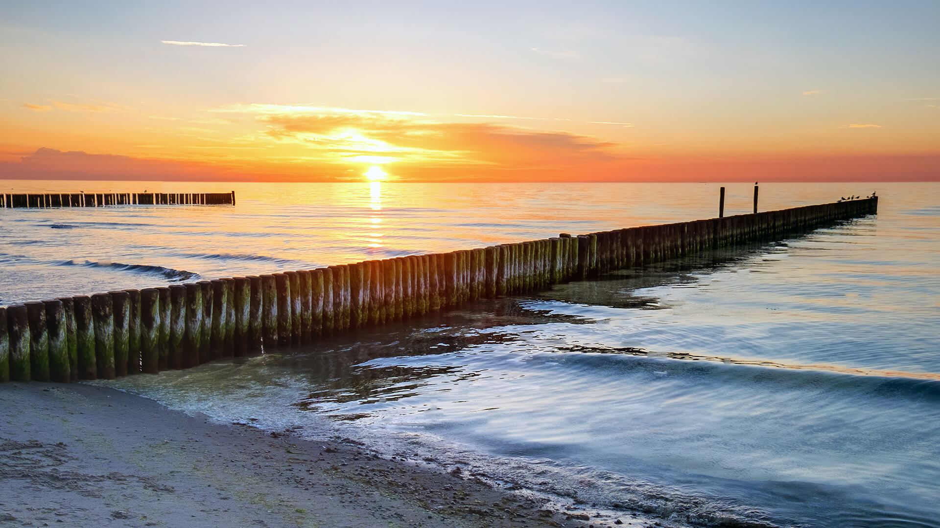 Campen an der Ostsee: 
